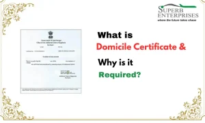 Read more about the article What is Domicile Certificate & Why is it Required?